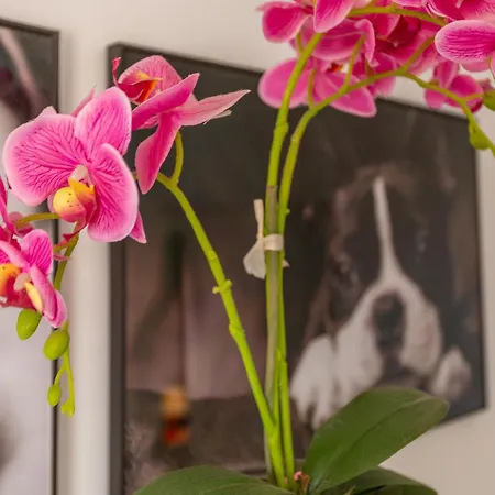 Apartamento Flores3